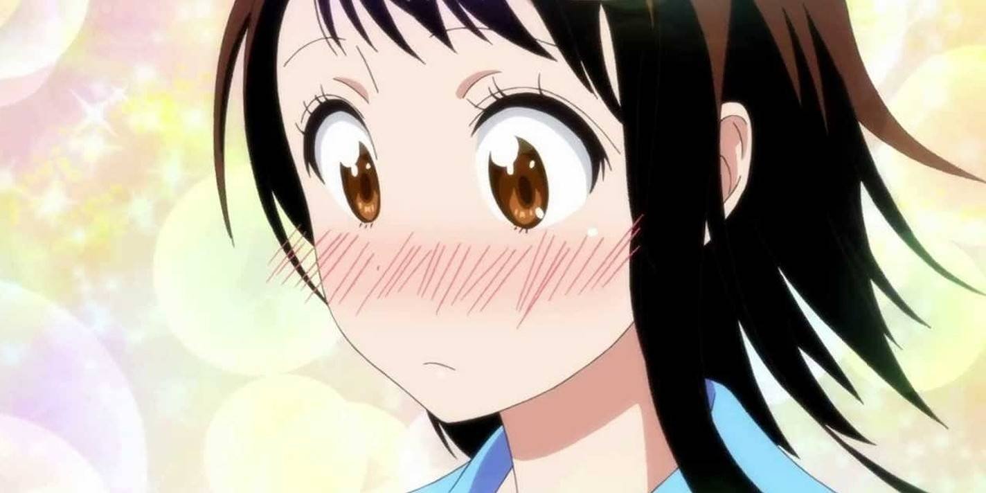 Những Anime Chưa Kịp Kết Thúc: Khát Khao Của Fan Tiếp Tục Chờ Đợi